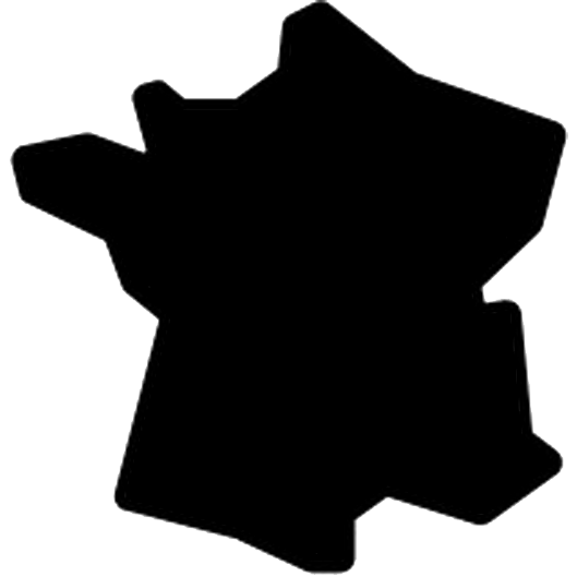 Fortiche T-shirt Pictogramme Carte de France